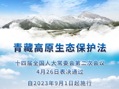 新华社权威快报丨青藏高原生态有了保护法