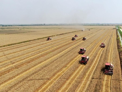 中国耕好“无形良田”保障粮食安全