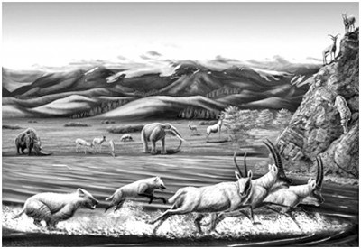 新近纪,什么地质变化让青藏高原“孕育”冰期动物