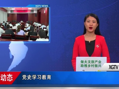 县政府办党支部开展党史学习教育“每周夜读”活动