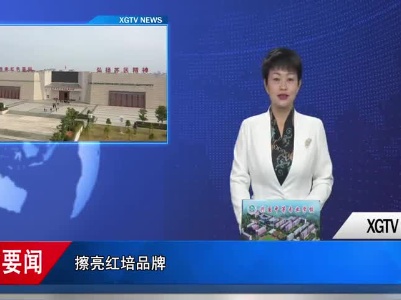 加快融湾步伐   擦亮红培品牌 严飞