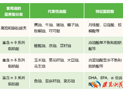 花生油、橄榄油、葵花籽油……这么多油到底该买哪种？一文说清！