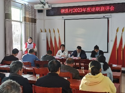 【乡镇动态】埠头乡各村组织召开2023年度村级年终述职测评会