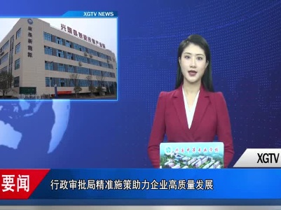 兴国县行政审批局精准施策助力企业高质量发展	严飞