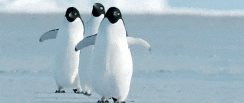 世界企鹅日：关于企鹅的那些冷知识