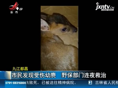 都昌的这位热心市民因救助野生保护动物上了江西电视台啦!