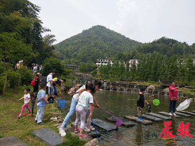 我省森林旅游品牌叫响全国