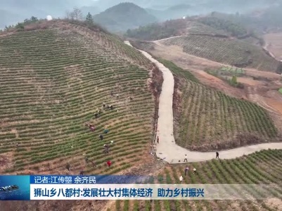 【乡村振兴进行时】狮山乡八都村:发展壮大村集体经济 助力乡村振兴