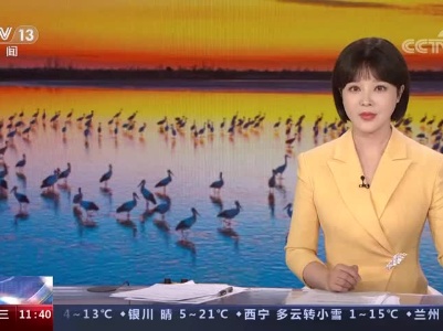 [新闻直播间]大美中国 候鸟北归 江西鄱阳湖 历经干旱与严寒 候鸟天然食源锐减