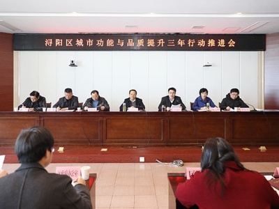 浔阳区城市功能与品质提升三年行动推进会召开[组图]