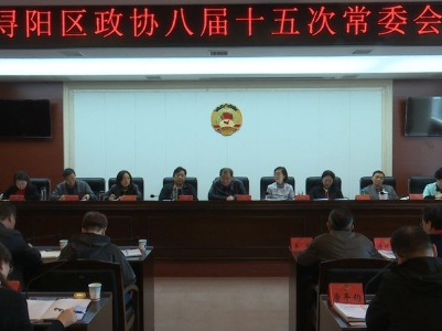 浔阳区政协八届十五次常委会召开