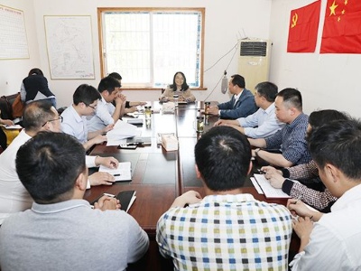 宋细妹调研调度浔阳区重大项目推进情况[组图]