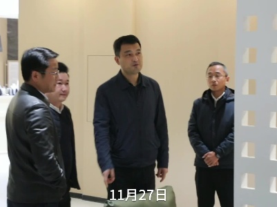 张宁实地调研督导区重点项目建设情况