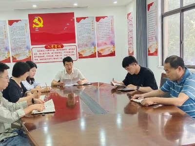 大塘村召开党支部委员会专题学习党的二十大精神