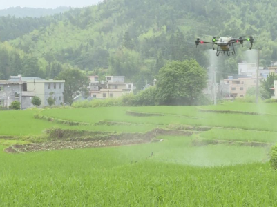 无人机穿梭田间显身手，助力农业发展