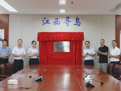 全省首个！寻乌上线“大湾区•视频办”异地收件平台
