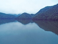 泰和：白鹭湖国家森林公园美如画