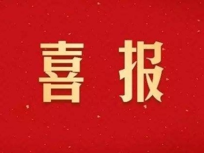 喜报！沙村镇荣获2020年度全省首批“五型”政府建设示范乡（镇、街道）称号