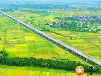 塘洲镇：夏日田园风景如画