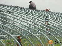 现代农业助力脱贫攻坚