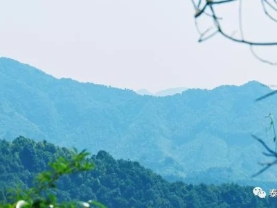 人文 | 泰和这地方因北宋大诗人黄庭坚，引出了一段千古佳话
