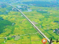 塘洲镇：夏日田园风景如画