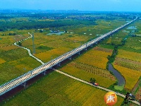 塘洲镇：夏日田园风景如画