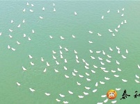 沿溪镇：特色养殖助力脱贫攻坚