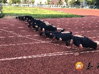 泰和交警，深化“周三训练日”