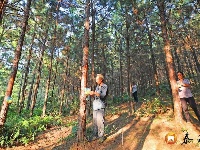 塘洲镇：林下经济助力脱贫攻坚