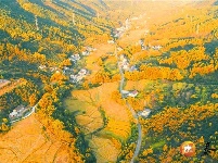 水槎乡：秋分至 秋意浓