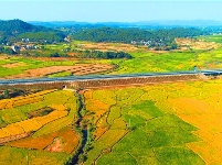 泰和：田园秋色美