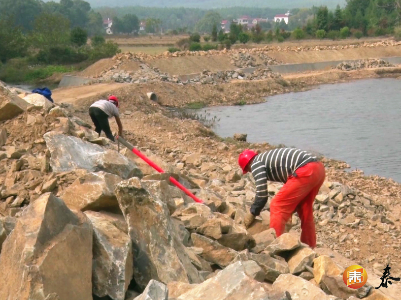 苏溪镇：检视问题抓整改，服务民生见实效