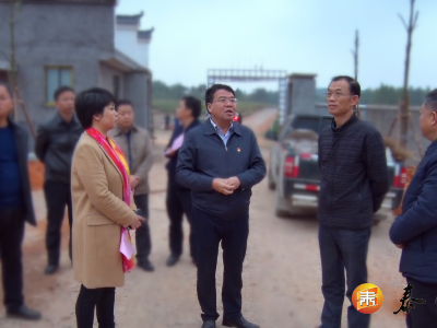 杨丹调研泰和乌鸡产业和台资企业