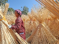 上圯乡：毛竹深加工助力脱贫攻坚