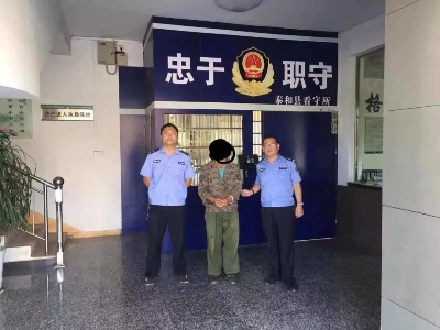 泰和一男子砍伐香樟获刑三年