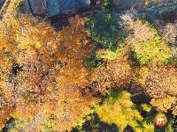 水槎乡：山乡枫叶红