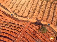 为人民谋幸福 | 上模乡：红壤荒坡变身生态果园