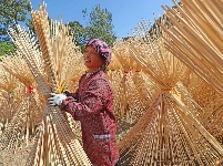 上圯乡：毛竹深加工助力脱贫攻坚