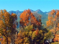 水槎乡：山乡枫叶红