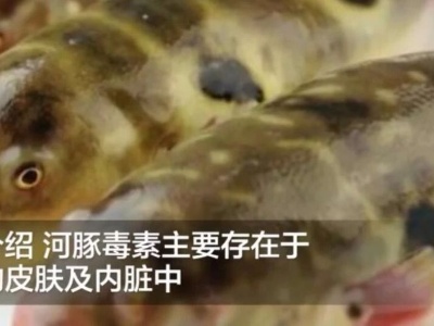 吃了一道菜后，男孩心脏骤停！医生：剧毒