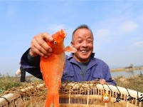 马市镇：初冬时节冬捕忙