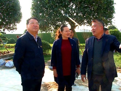 县委书记胡小勇调研创卫工作时强调：常抓不懈，确保顺利实现创卫目标