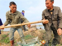 马市镇：初冬时节冬捕忙