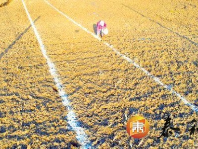 泰和：划线定行 冬闲农事忙