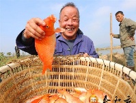 马市镇：初冬时节冬捕忙