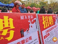 泰和：就业招聘