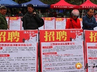 泰和：就业招聘