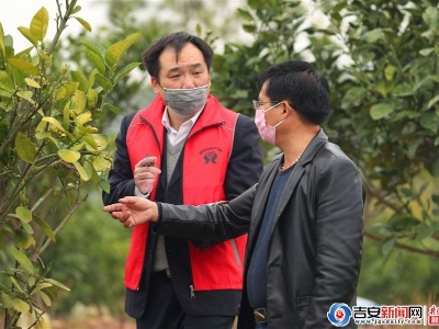 泰和：上门“问贷”助力春耕备耕