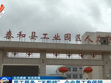 【众志成城 抗击疫情】用工服务“不断档” 企业复工有保障